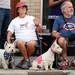 Parade goers watch the parade with their two festive pups during the 23rd Annual Ann Arbor Jaycees Fourth of July Parade on Thursday, July 4, 2013 on South State Street in downtown Ann Arbor. Melanie Maxwell | AnnArbor.com